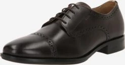 Business Sko Snøresko Colby Mænd Mørkebrun