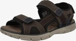 Tom Tailor Åbne Sko Sandaler Mænd Mørkebrun