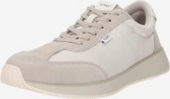 Toms Casual Sneakers Sneaker Low WYNDON Mænd Taupe / Lysegrå