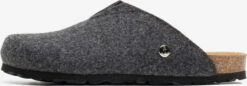 Tøfler Pantoletter Fudji Mænd Mørkegrå