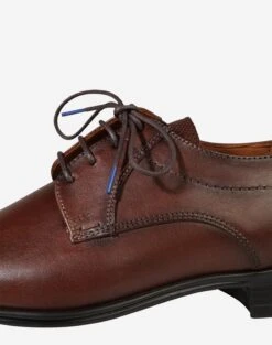 Lloyd Business Sko Snøresko Osmond Mænd Mørkebrun -Nike Sportswear 4731344e64f7497e75cb003149c4934e