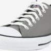 Converse Skate Sneakers Sneaker Low Mænd Grå -Nike Sportswear 4a03dae7d9497fd944e9978213ab6c72