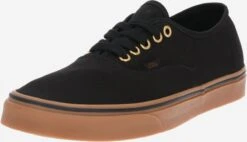 Vans Skate Sneakers Sneaker Low Authentic Mænd Sort