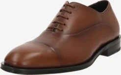 Business Sko Snøresko Derrek Mænd Brun