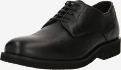 Business Sko Snøresko Baird Mænd Sort