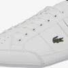 Lacoste Casual Sneakers Sneaker Low Chaymon Mænd Hvid -Nike Sportswear bd0b1ffa9d633bda8d8b0f4d00f06915