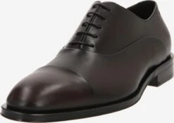 Business Sko Snøresko Derrek Mænd Mørkebrun